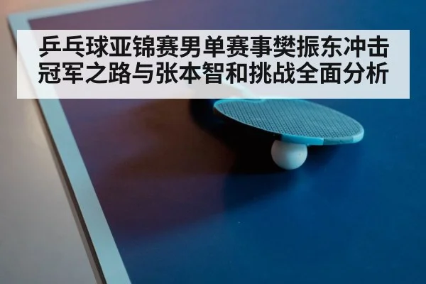 table tennis paddle and ball closeup